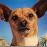 Le inchieste di Roll Over Beethoven: Intervista a Pope Dog
