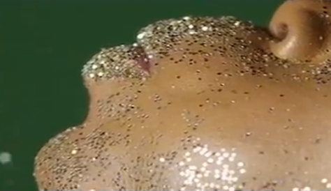"Erykah Badu"
