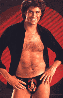 David_hasselhoff_ipnomutanda