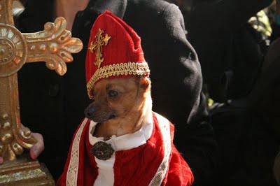cane-maschera-papa