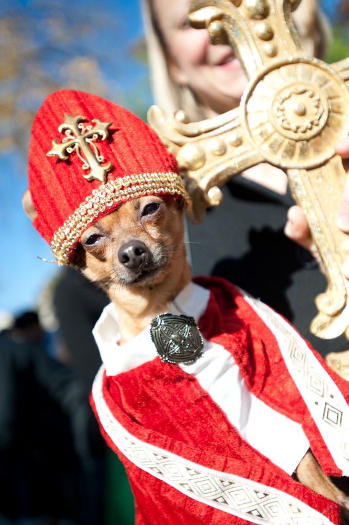 dog_parade_05