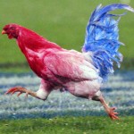 CALIFORNIA ROLLOVER – 5 pubblicità alla coq che ti entrano nel cervello