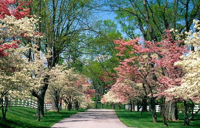 "Discosafari in primavera"